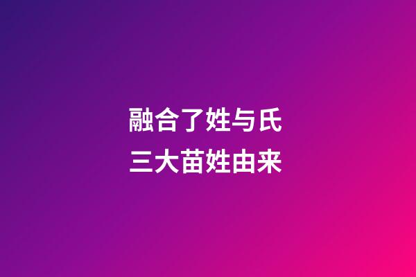 融合了姓与氏 三大苗姓由来